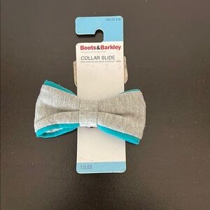 Boots & Barkley Gray and Teal Collar Slide